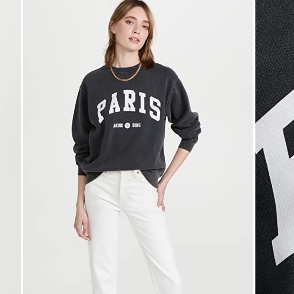 Anine bing Paris sweatshirt NWT